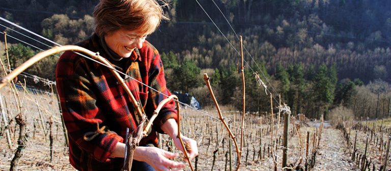 Nachhaltiger Weinbau von Brigitte Schier: Hier arbeitet sie im steilen Weinberg