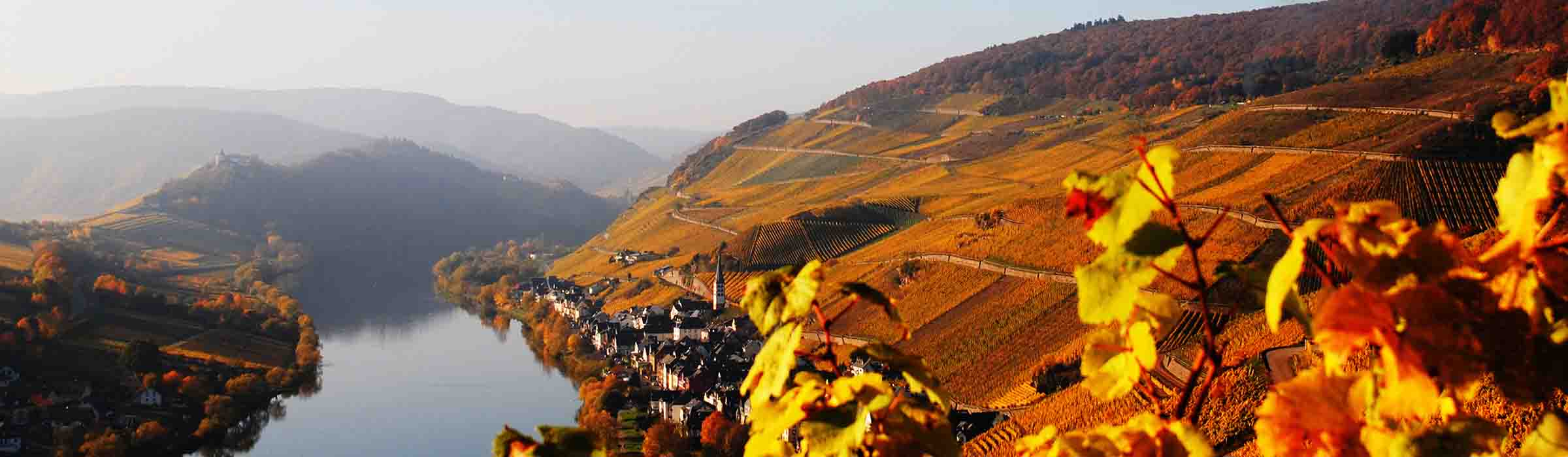 Blick auf das Moseltal im Herbst in Zell an der Mosel