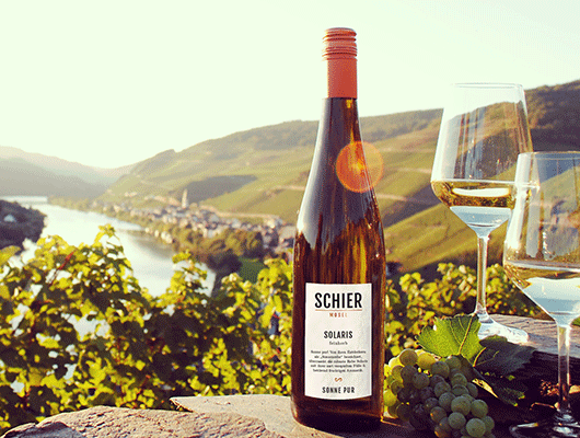 Piwi-Wein Solaris mit Blick auf die Mosel