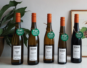 Fünf nachhaltige Piwi Weine der Mosel: Cabernet Blanc, Solaris, Beerenauslese, Johanniter, Rotwein