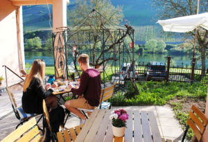 Ferienwohnung in Reil-Mosel - Garten zur Mitbenutzung 1