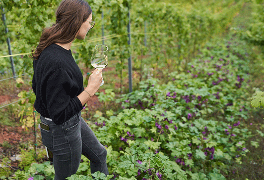 Artenvielfalt im Weinberg - mit einem Glas Piwi-Wein in der Hand