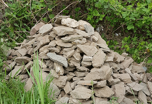 Artenvielfalt im Weinberg - Schiefer-Steinhaufen